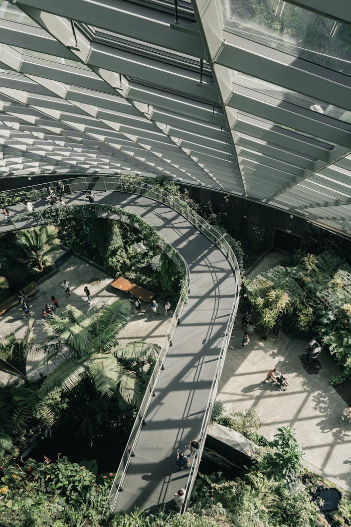 Discover the stunning architecture and lush greenery of Singapore's indoor gardens.